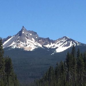 Meet your Posher, Kandi